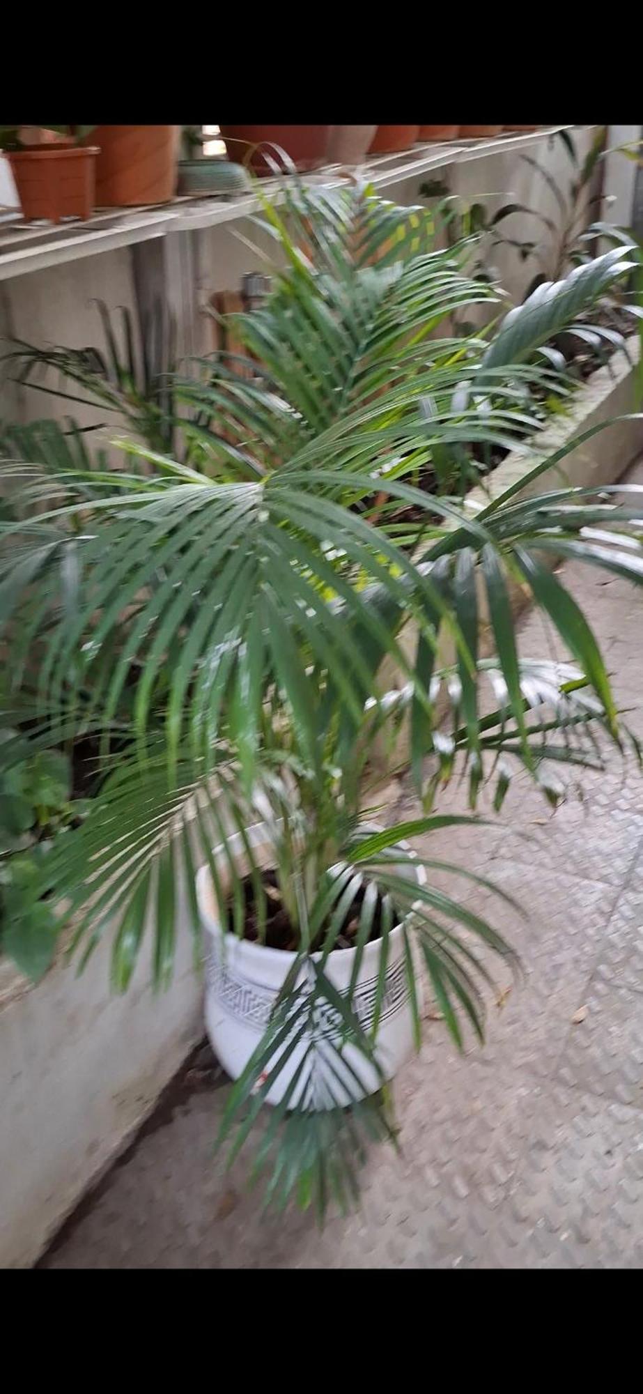 2Bhk Chandra Jyoti Villa Nit Garden 那格浦尔 外观 照片