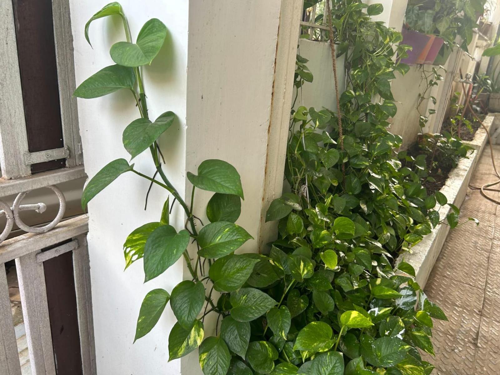 2Bhk Chandra Jyoti Villa Nit Garden 那格浦尔 外观 照片